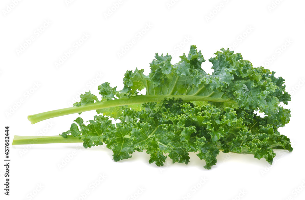 Fototapeta premium Creative layout made of kale on white background