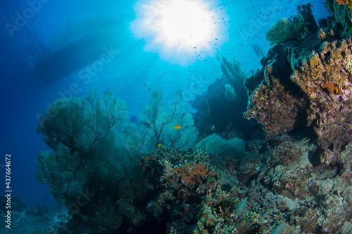 石垣 サンゴ礁 海 太陽
