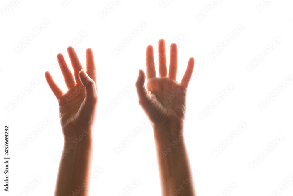 Hand gestures. Elegant female hands reach up, isolated on white, Hand gestures. Elegant female hands reach up, isolated on white,