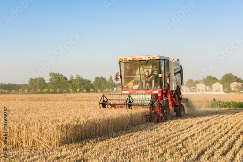 combine harvester working on a wheat field