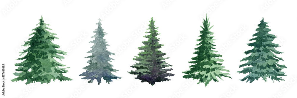 Fir tree watercolor set. Hand drawn realistic lush pine watercolor illustration. Green forest plant element. Christmas tree object on white background. Evergreen natural fir tree collection
