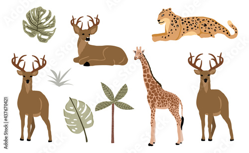 Safari animal object collection with leopard,tiger,zebra,giraffe. illustration for icon,sticker,printable