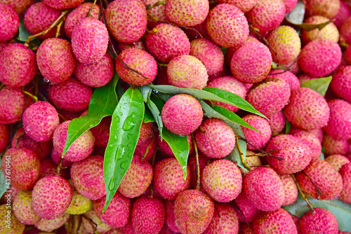 Litchi chinensis. Ripe, red litchi fruits for sale by the roadside at Haridwar, Uttarakhand, India.
