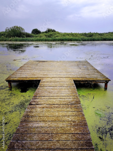 An old wooden panton on a pond overgrown with mud in the summer in cloudy weather. Mobile photography. Illustration for a summer holiday near the water.