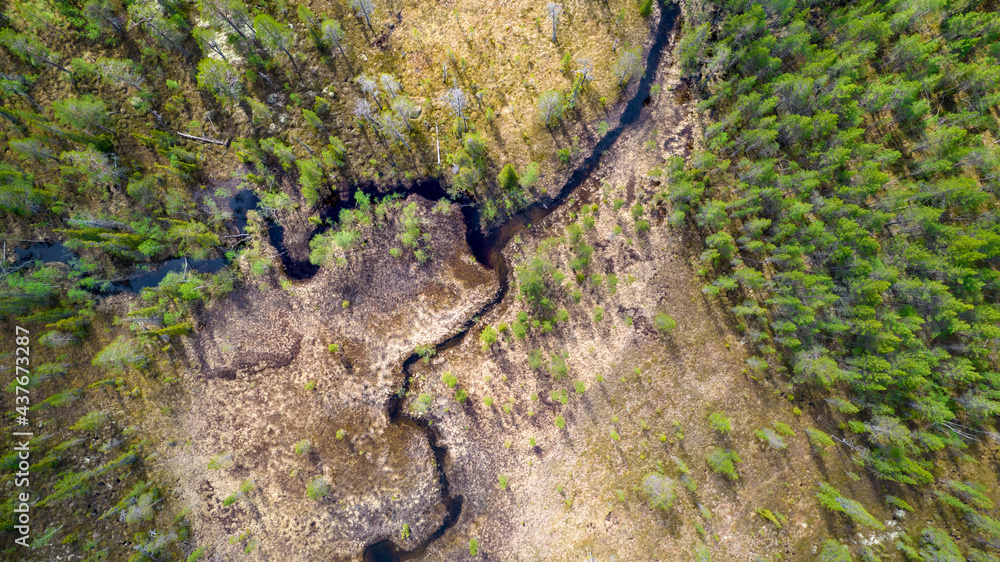 Obraz premium river on the stone