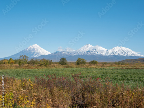 View of the domestic Kamchatka volcanoes against the background of the blue sky and autumn forest. In good weather, the snow caps of all domestic volcanoes are visible. Kamchatka Peninsula, Russia. © lexosn