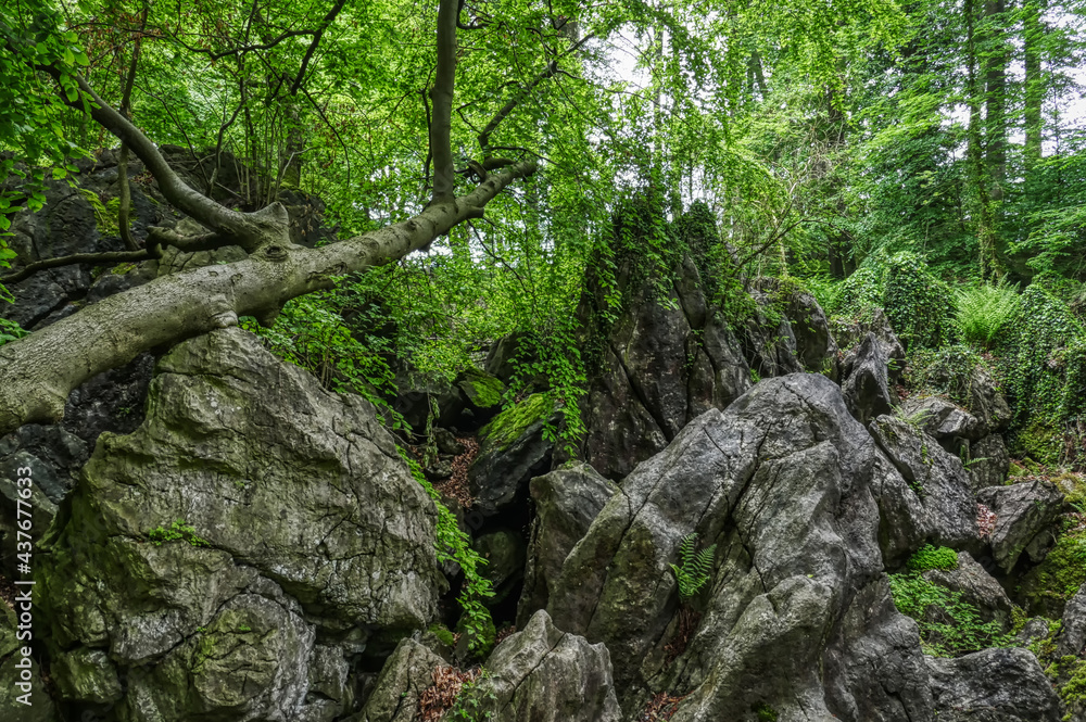 Felsen im Felsenmeer in Hemer im Sauerland Felsen im Felsenmeer in Hemer im Sauerland