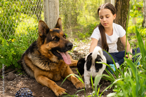 Canvas Print Happy little girl playing with two dogs in garden