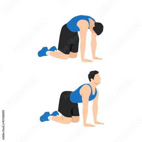 Man doing Cat back. Backward camel stretch exercise. Flat vector illustration isolated on white background