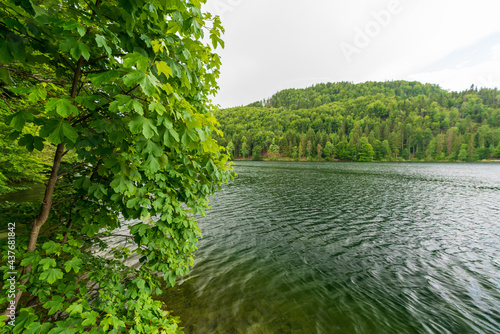 Hechtsee bei Kufstein in Tirol Österreich photo