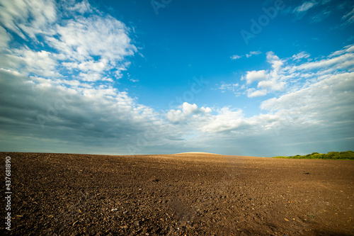 Early summer farm landscape. Soil and blue sky with clouds