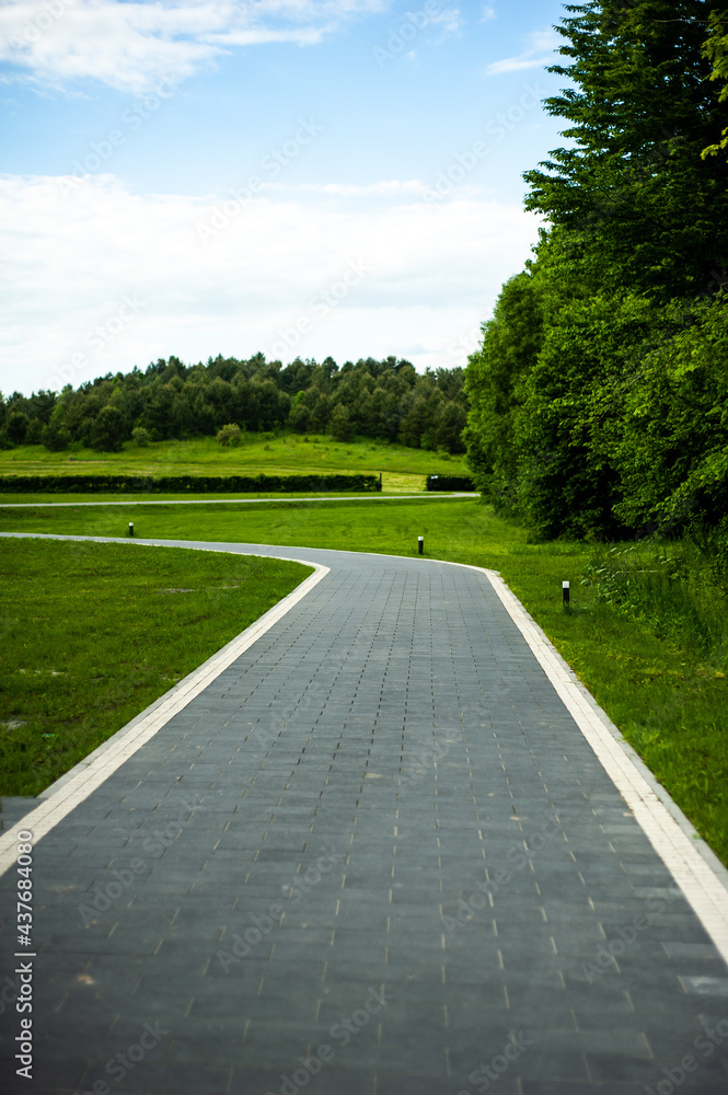 Landscape design. Road, forest Landscape design. Road, forest
