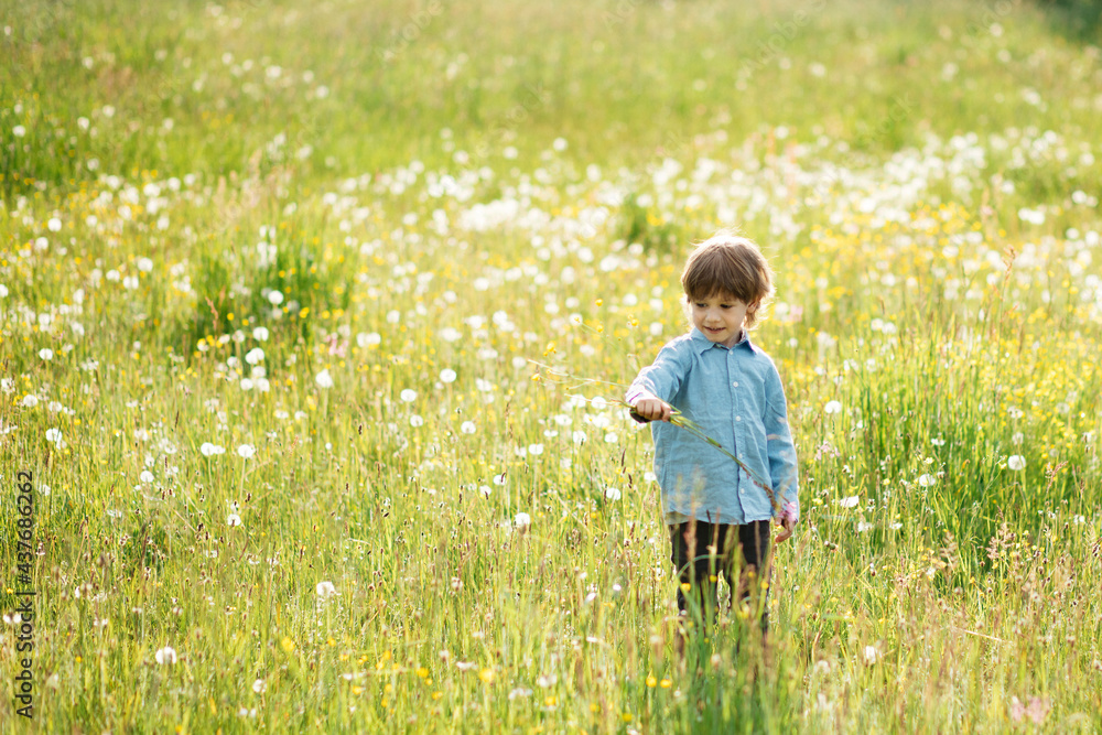A child boy 3-4 years is walking in meadow walking along and having fun.