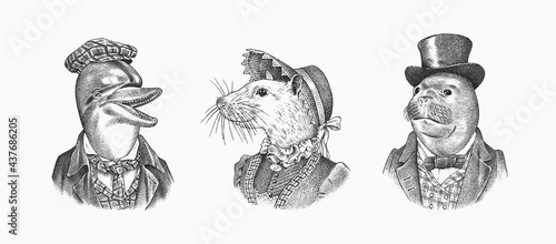 Seal and White Mouse and Dolphin in hat and suit. Victorian woman and man. Marine mammal. Fashion animal character. Hand drawn sketch. Engraved illustration for T-shirts or tattoo