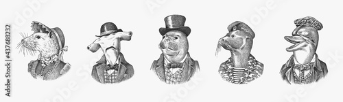 Dolphin and Great hammerhead shark. Fur seal man in military uniform. White Mouse Woman. Marine mammal gentleman. Fashion animal character. Hand drawn sketch for and T-shirts or tattoo. 