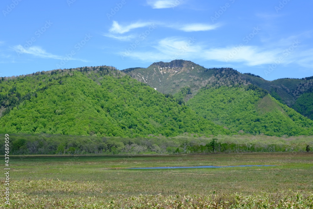 青空に映える新緑に囲まれた尾瀬の湿原