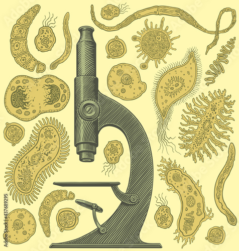 Microscope and microbes. Design set. Editable hand drawn illustration. Isolated on light background. 8 EPS photo