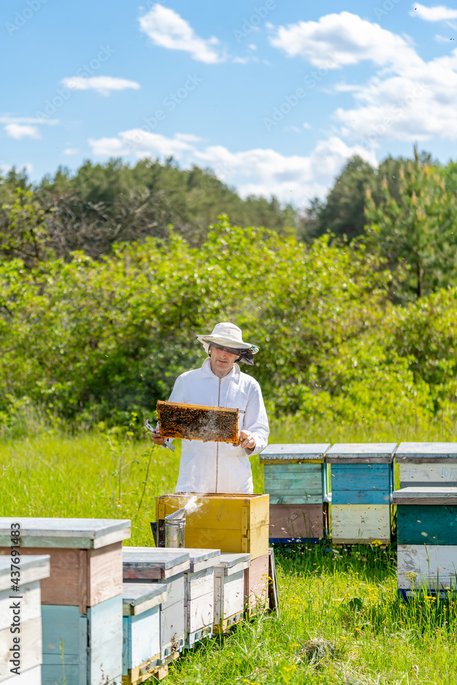 Yellow beehive with bees swarming around. Beekeeper in protection suit working with honeycomb. Yellow beehive with bees swarming around. Beekeeper in protection suit working with honeycomb.