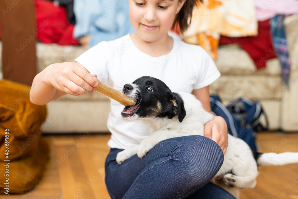 Portrait of happy little girl at home with puppy Portrait of happy little girl at home with puppy