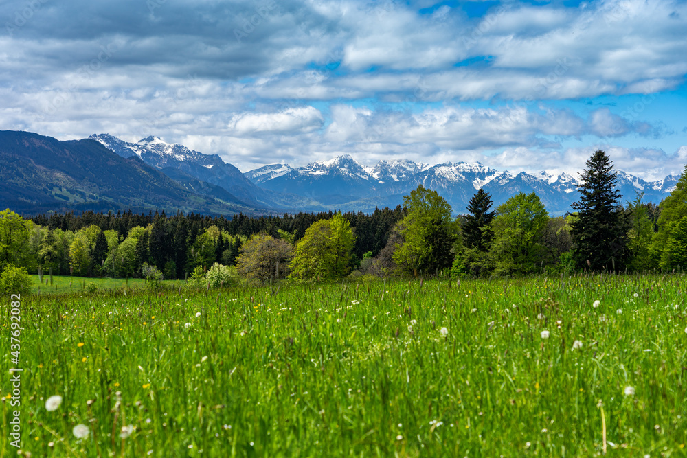 Flachwanderung im Voralpenland: Alpenblick von Wies, Wildsteig aus in Richtung der Allgäuer Alpen, Österreich im Frühling