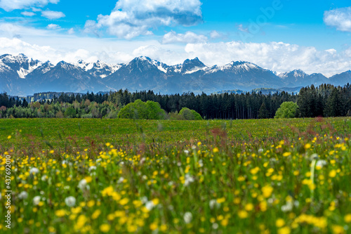 Flachwanderung im Voralpenland: Alpenblick von Wies, Wildsteig aus in Richtung der Allgäuer Alpen, Österreich im Frühling