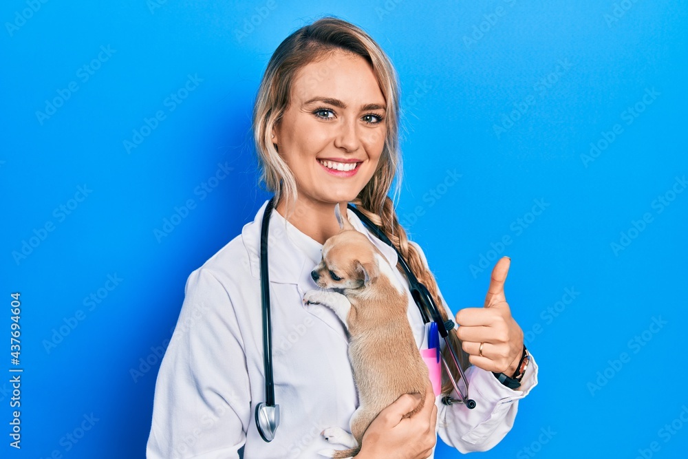 Young blonde veterinarian woman wearing uniform and stethoscope holding small chihuhua with love Young blonde veterinarian woman wearing uniform and stethoscope holding small chihuhua with love