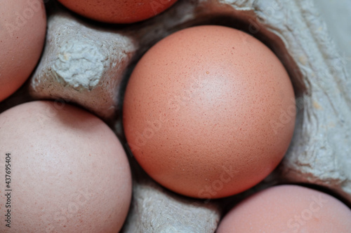 Close up eggs in carton