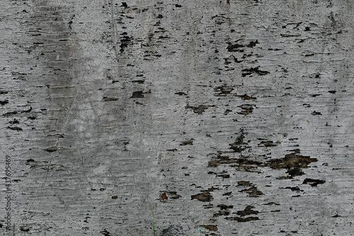 Gray wall texture