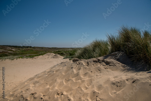 Den Helder, the Netherlands, May 30, 2021. Dunes near the seaside of Den Gelder, the Netherlands. 