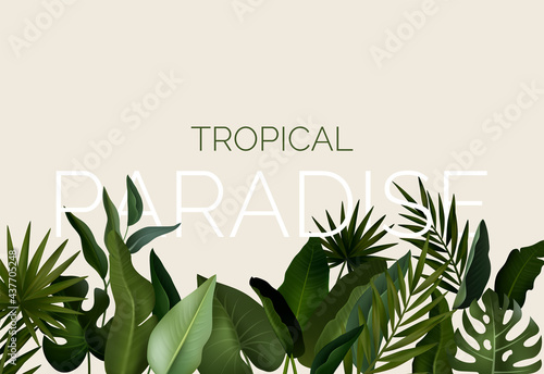 Tropical background with jungle plants. Exotic pattern with palm leaves. Vector illustration