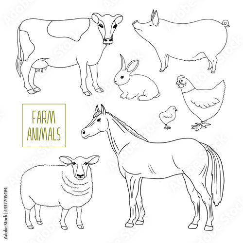 Outline vector Farm Animals and domestic birds set. Cow, horse, pig, hen, chicken, sheep, rabbit. Animal husbandry, Livestock, cattle, dairy, poultry. Hand drawn elements isolated, coloring page