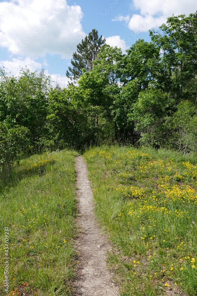 Wanderweg durch Wald und Wiese Wanderweg durch Wald und Wiese