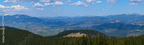 Carpathian mountain plateau spring panorama with fir forest on slope, Ukraine. © wildman