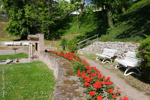 Alter Kurpark Bad Frankenhausen photo