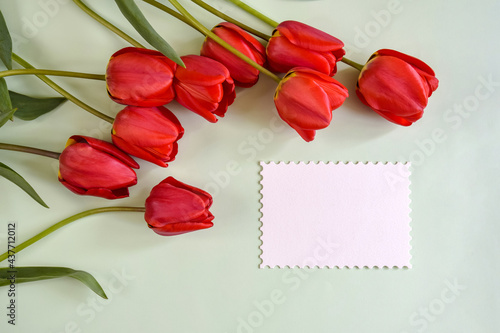 Fresh red tulips and white sheet of paper on light green background. Top view. Close-up. Copy space.