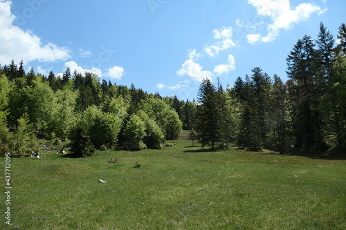 Lainer Alm, Vorderriss, Karwendel, bayern photo