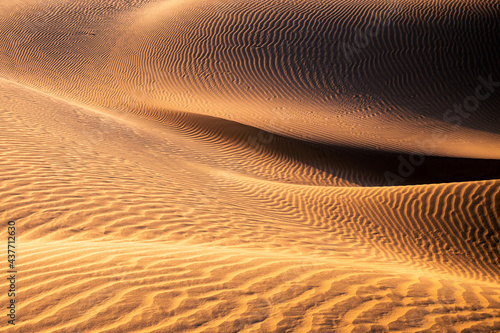 Sand dunes in the Thar desert, Rajasthan, India