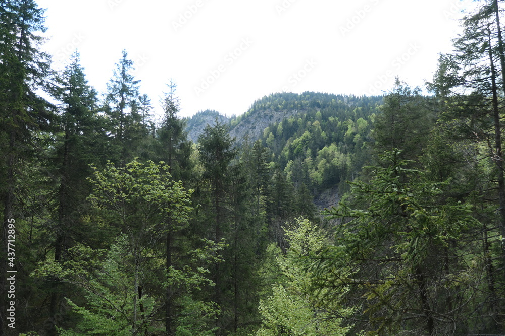 Fototapeta premium Panoramablick am oberen Ende des staffelgraben