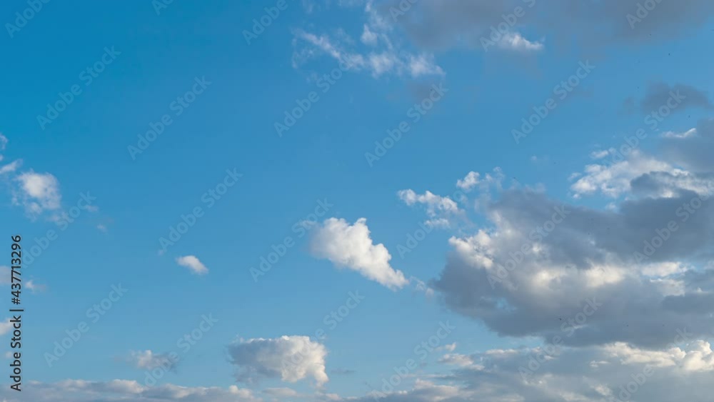 Beautiful sunny peaceful cloudy sky landscape. 4k video time lapse of soft white fluffy clouds moving slowly in clear blue sky background Beautiful sunny peaceful cloudy sky landscape. 4k video time lapse of soft white fluffy clouds moving slowly in clear blue sky background