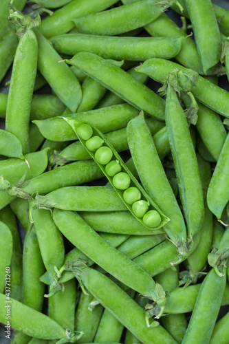 Fresh pea pods as background, texture. Top view.