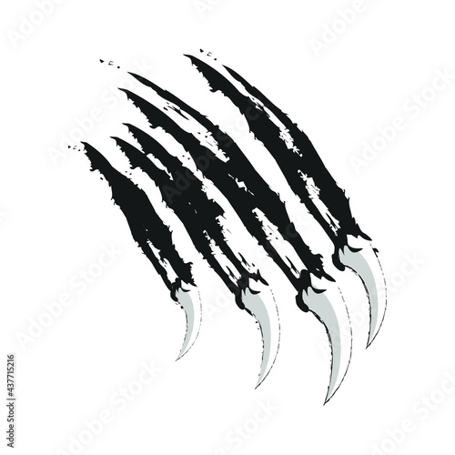 tiger claw vector image gambar