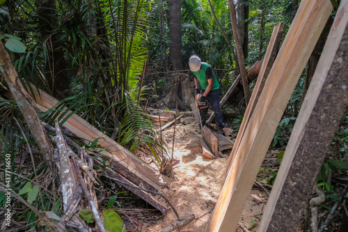 Wallpaper Mural Unidentified man woodcutter cutting wood timber logs. He using a gasoline engine chainsaw as a main tool. Torontodigital.ca