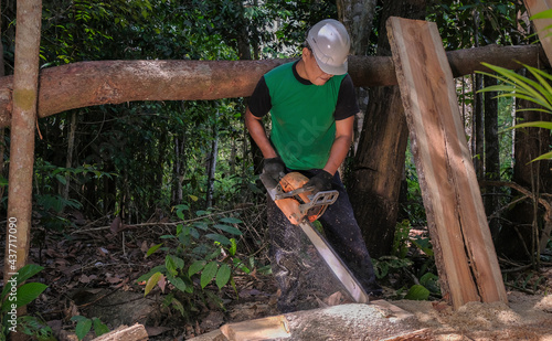 Unidentified man woodcutter cutting wood timber logs. He using a gasoline engine chainsaw as a main tool. photo