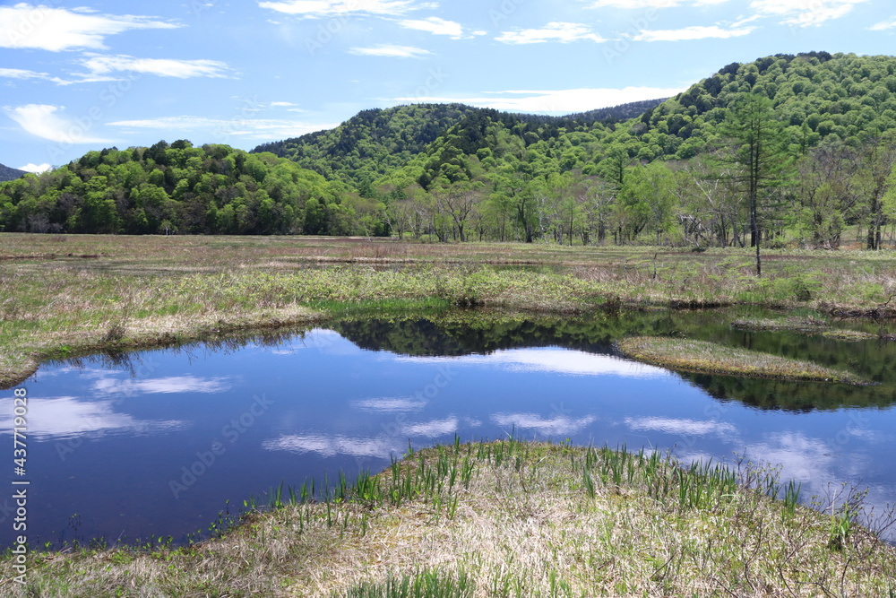 尾瀬/6月。　まだ水芭蕉が咲き残る初夏の尾瀬ヶ原。山、空が写る池。