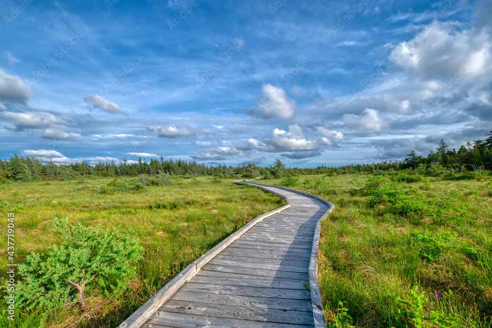 Boardwalk at the Bog, CBHNP. Boardwalk at the Bog, CBHNP.