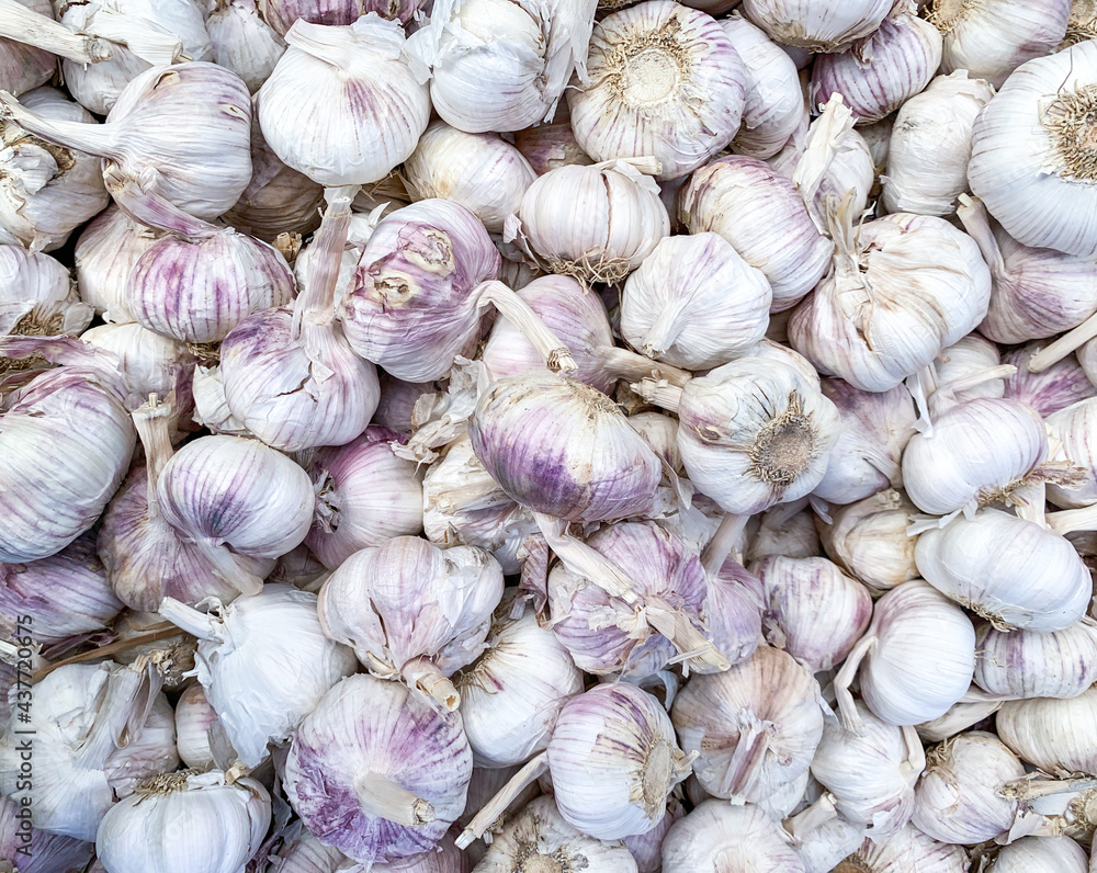 garlic on market background texture. garlic on market background texture.