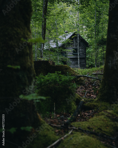 cabin in the woods Austria - Upper Austria - Salzkammergut