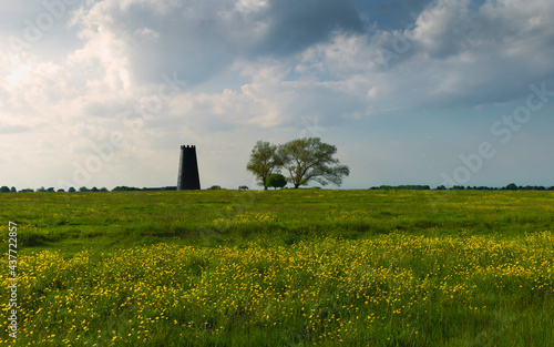 Black Mill with leafless trees and wild flowers in spring Beverley, UK. photo