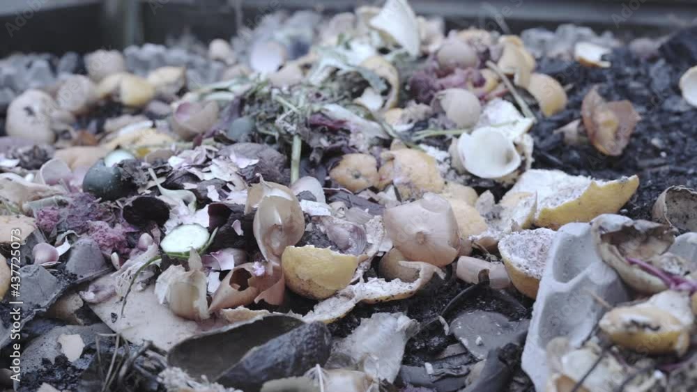 Compost pile of food waste for fertilizing vegetable garden soil Compost pile of food waste for fertilizing vegetable garden soil