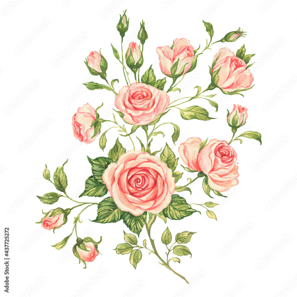Watercolor illustration sketching on paper with paints of a delicate beautiful bouquet of blooming roses